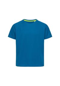 Stedman - Koszulka Dziecięca/dziecięca Raglan Active T-shirt. Kolor: turkusowy, niebieski, wielokolorowy. Długość rękawa: raglanowy rękaw