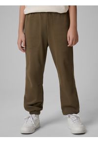 4f - 4F Spodnie dresowe joggery chłopięce - khaki 158 (12-13 lat). Okazja: na co dzień, na uczelnię. Kolor: oliwkowy, brązowy, wielokolorowy. Materiał: dresówka. Sezon: lato. Styl: casual #2