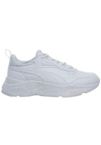 Buty Puma Cassia SL, Kobiety. Kolor: biały. Materiał: guma, syntetyk, materiał, tkanina, skóra ekologiczna. Sport: turystyka piesza