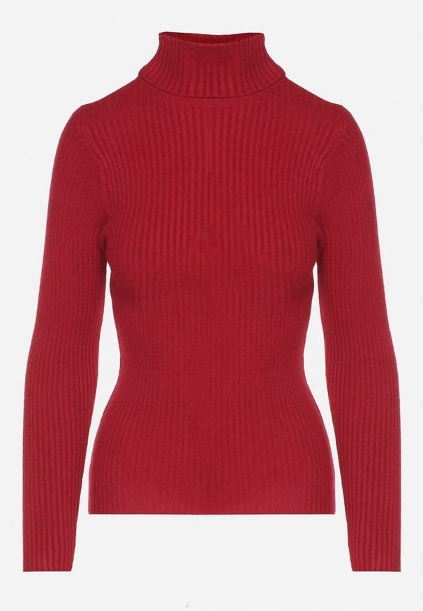 Born2be - Bordowy Golf Oranya. Typ kołnierza: golf. Kolor: czerwony. Materiał: prążkowany, dzianina. Długość rękawa: długi rękaw. Długość: długie