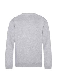 AWDIS - Bluza Dziecięca Just Hoods. Kolor: szary