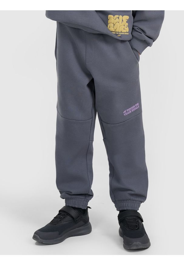 4f - 4F Spodnie dresowe joggery chłopięce - szare 128 (7-8 lat). Okazja: na co dzień. Kolor: szary. Materiał: dresówka. Wzór: ze splotem, gładki. Sezon: lato. Styl: młodzieżowy, sportowy, casual