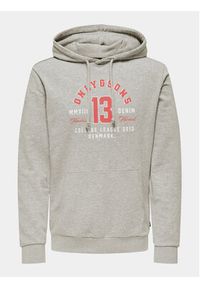 Only & Sons Bluza Lenny 22028594 Szary Regular Fit. Kolor: szary. Materiał: bawełna, syntetyk #7