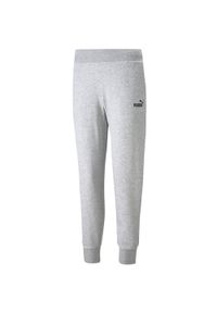 Puma - Spodnie Do Biegania Essential Dla Kobiet. Kolor: szary