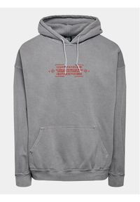 BDG Urban Outfitters Bluza Grey Natures Hood 77173722 Szary Baggy Fit. Kolor: szary. Materiał: bawełna