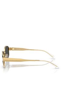 Michael Kors Okulary przeciwsłoneczne 0MK1161 18968756 Złoty. Kolor: złoty. Materiał: syntetyk #2