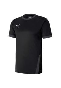 Koszulka do piłki nożnej męska Puma teamGOAL 23 Jersey. Kolor: czarny. Materiał: jersey. Sport: piłka nożna