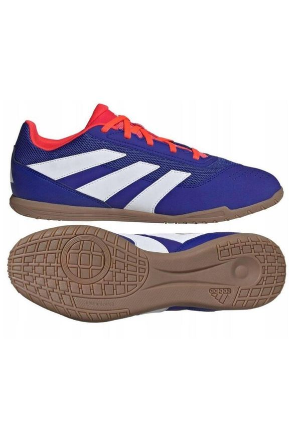 Buty do piłki nożnej męskie Adidas Predator Club IN Sala. Kolor: niebieski