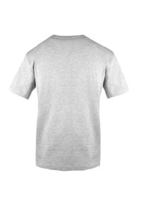 Koszulka Męska (T-Shirt) - Pako Jeans - Domieszka Elastanu, Popiel. Okazja: na co dzień. Materiał: bawełna, wiskoza, elastan. Styl: casual