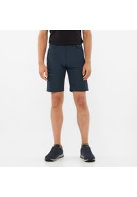 Szorty trekkingowe męskie Viking Sumatra Shorts. Kolor: niebieski. Sport: turystyka piesza #1