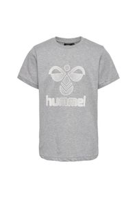 Koszulka dla dzieci Hummel Proud. Kolor: szary. Materiał: bawełna. Sport: joga i pilates