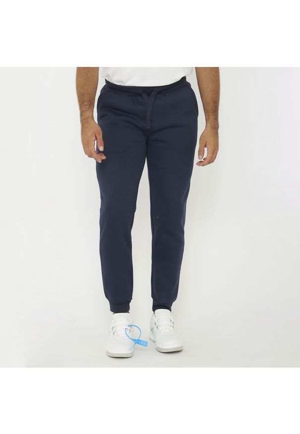 LEGEA - Spodnie sportowe SOFIA oversize niebieskie. Kolor: niebieski. Sport: fitness