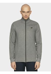 4f - Bluza męska. Okazja: na co dzień. Typ kołnierza: kołnierzyk stójkowy. Kolor: szary. Materiał: dzianina. Styl: casual #1