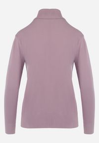 Born2be - Różowy Sweter z Golfem Sazerna w Składzie Wiskoza i Modal. Typ kołnierza: golf. Kolor: różowy. Materiał: wiskoza. Długość rękawa: długi rękaw. Długość: długie. Wzór: gładki. Sezon: jesień, zima #3