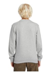 Quiksilver - Bluza z kapturem dla Chłopcy GRAPHIC Szary. Okazja: na co dzień. Typ kołnierza: kaptur. Kolor: szary. Materiał: materiał, poliester, bawełna. Styl: casual