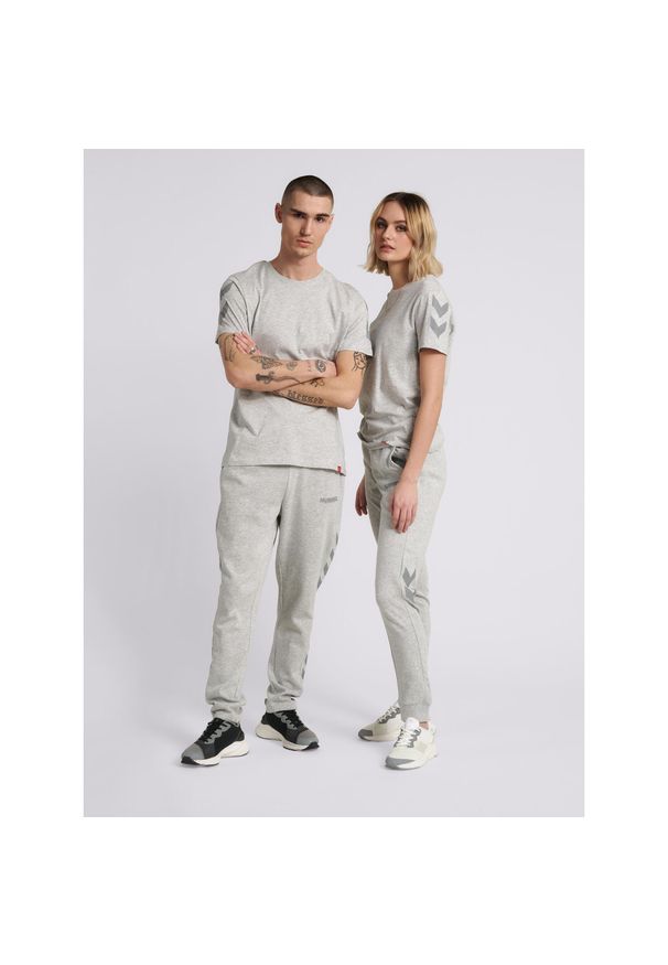 Koszulka Hummel hmlLEGACY chevron. Kolor: szary. Sport: fitness, piłka nożna