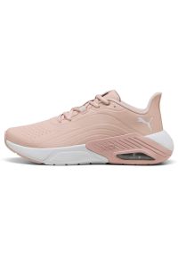 Puma - Buty do biegania damskie PUMA X-Cell Nova CAT SL. Kolor: różowy