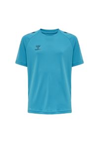 Koszulka dziecięca Hummel hmlCore. Kolor: niebieski. Materiał: poliester, materiał. Sport: piłka ręczna #1