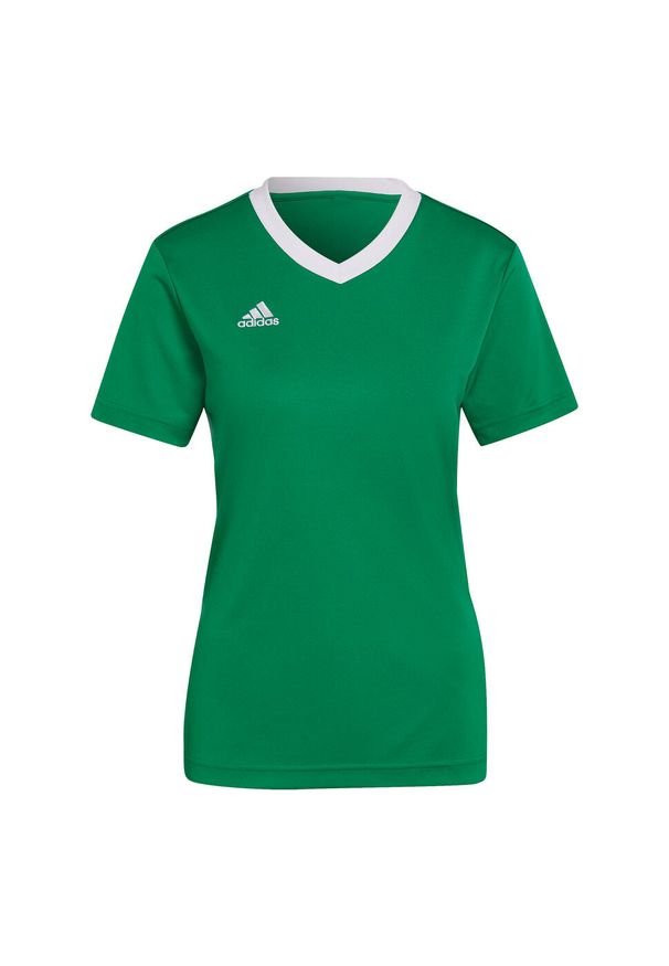 Koszulka piłkarska damska Adidas Entrada 22 Jersey. Kolor: zielony, biały, wielokolorowy. Materiał: jersey. Sport: piłka nożna