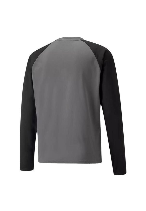 Bluza Puma Teamliga. Kolor: biały, wielokolorowy, szary. Sport: fitness