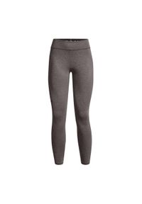 Legginsy treningowe damskie Under Armour ColdGear Authentics. Kolor: szary #1