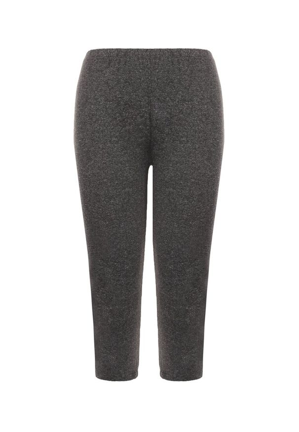 Born2be - Ciemnoszare Legginsy Irora. Okazja: na co dzień. Kolekcja: plus size. Kolor: szary. Materiał: dzianina, włókno. Długość: krótkie. Wzór: gładki. Styl: sportowy, casual
