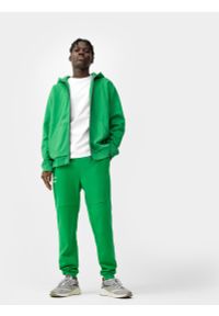 4f - Spodnie dresowe joggery męskie. Kolor: zielony. Materiał: dresówka #1