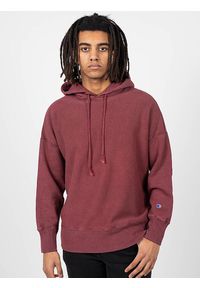 Champion - Bluza trekking męska. Kolor: brązowy. Materiał: bawełna, poliester. Sport: turystyka piesza #2