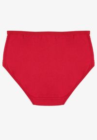 Born2be - Bordowe Bawełniane Majtki Figi z Koronką Idiana. Kolekcja: plus size. Kolor: czerwony. Materiał: koronka, bawełna. Wzór: koronka