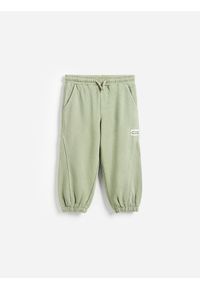 Reserved - Spodnie jogger - jasnozielony. Kolor: zielony. Materiał: bawełna, dzianina #1