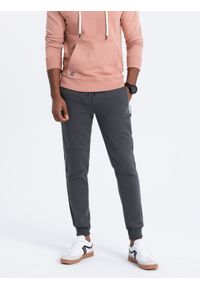 Ombre Clothing - Spodnie męskie dresowe z przeszyciami - grafitowe V2 OM-PASK-0137 - XXL. Kolor: szary. Materiał: dresówka. Wzór: nadruk