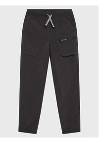 Jack Wolfskin Spodnie outdoor Teen 1609861 Czarny Regular Fit. Kolor: czarny. Materiał: syntetyk. Sport: outdoor