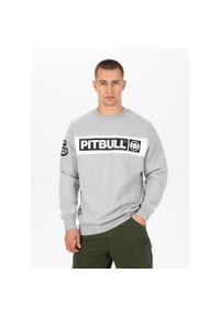 PITBULL - Bluza męska Pitbull Sherwood. Kolor: szary #1