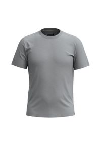 Koszulka trekkingowa męska Smartwool Short Sleeve Tee Slim Fit. Kolor: szary