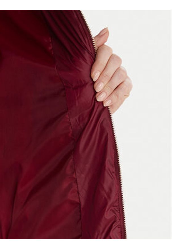 Artigli Kurtka zimowa ACPM002931 Bordowy Regular Fit. Kolor: czerwony. Materiał: syntetyk. Sezon: zima