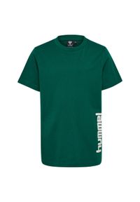 Koszulka sportowa dziecięca T-shirt Hummel hml SUKAT. Kolor: zielony