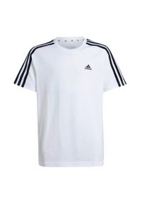 Adidas - Essentials 3-Stripes Cotton Loose Fit Boyfriend Tee. Kolor: biały, czarny, wielokolorowy