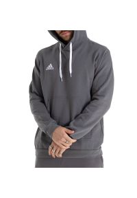 Adidas - Bluza adidas Entrada 22 HB0578 - szara. Typ kołnierza: kaptur. Kolor: szary. Materiał: bawełna, poliester, polar. Wzór: aplikacja. Styl: klasyczny #1