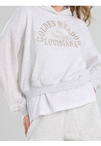 Sinsay - Bluza hoodie z haftowanym napisem - szary. Kolor: szary. Wzór: napisy, haft