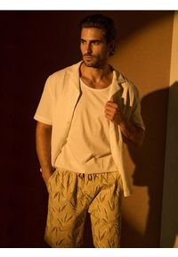 Sinsay - Bawełniana koszula z krótkim rękawem - biały. Kolor: biały. Materiał: bawełna. Długość rękawa: krótki rękaw. Długość: krótkie #1