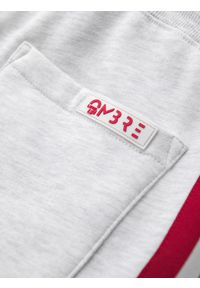 Ombre Clothing - Męskie szorty dresowe z lampasami i ściągaczem w pasie – szary melanż V1 - Rozmiar: XXL. Okazja: na co dzień. Kolor: szary. Materiał: dresówka. Wzór: melanż. Styl: retro, casual
