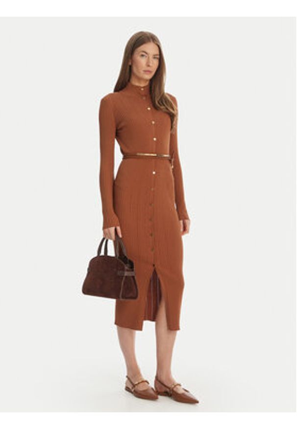Elisabetta Franchi Sukienka dzianinowa AM-15S-61E2-V490 Brązowy Regular Fit. Kolor: brązowy. Materiał: wiskoza