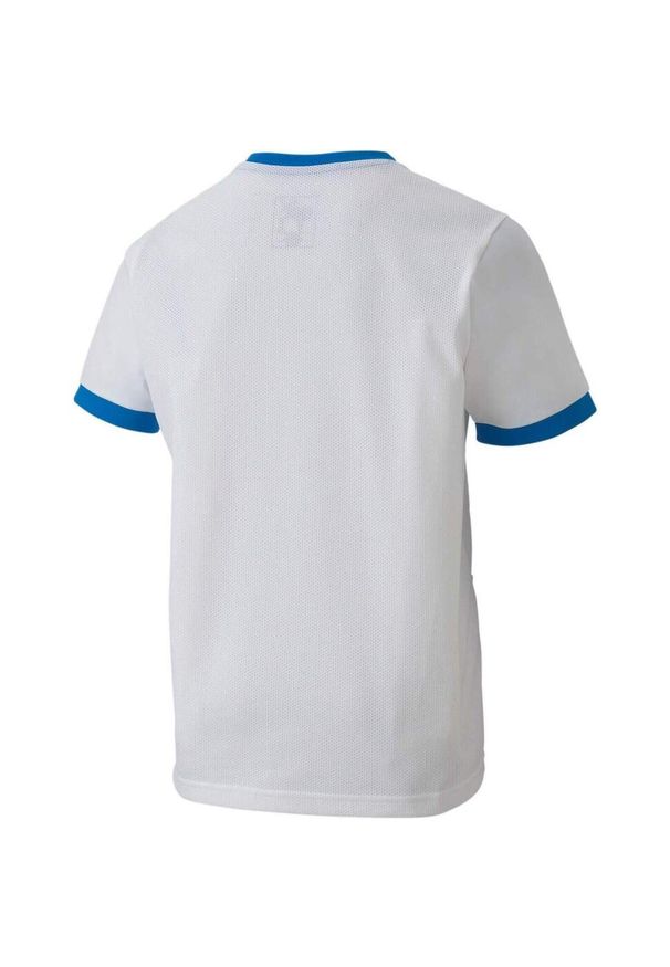 Podkoszulek Puma Teamgoal 23 Jersey Jr, Dzieci. Kolor: biały, niebieski, wielokolorowy. Materiał: poliester