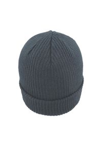 ATLANTIS - Skate Beanie. Kolor: szary