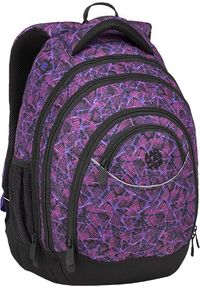 Bagmaster - BAGMASTER Plecak szkolny trzykomorowy Energy 9 D violet/black #1