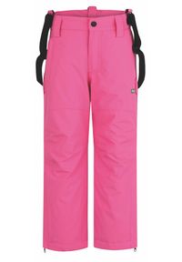 ZEAGLE - Dziecięce spodnie narciarskie Fumo, rozmiar 128, wodoodporne. Kolor: wielokolorowy, niebieski, szary. Sezon: zima. Sport: narciarstwo #2