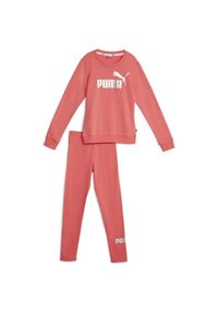 Dres Puma Logo FL JR, Dzieci. Okazja: na uczelnię. Kolor: różowy. Materiał: dresówka. Styl: sportowy
