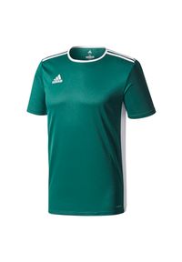 Adidas - Koszulka dla dzieci do piłki nożnej adidas Entrada 18 Jersey CD8358. Materiał: jersey. Technologia: ClimaLite (Adidas). Wzór: ze splotem. Sport: piłka nożna, fitness #3