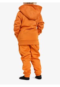 Bluza z kapturem dziecięca Didriksons Corin Full Zip. Typ kołnierza: kaptur. Kolor: pomarańczowy