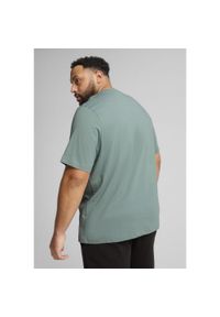 Puma Koszulka Ess Small No.1 Logo 68253530. Kolor: zielony